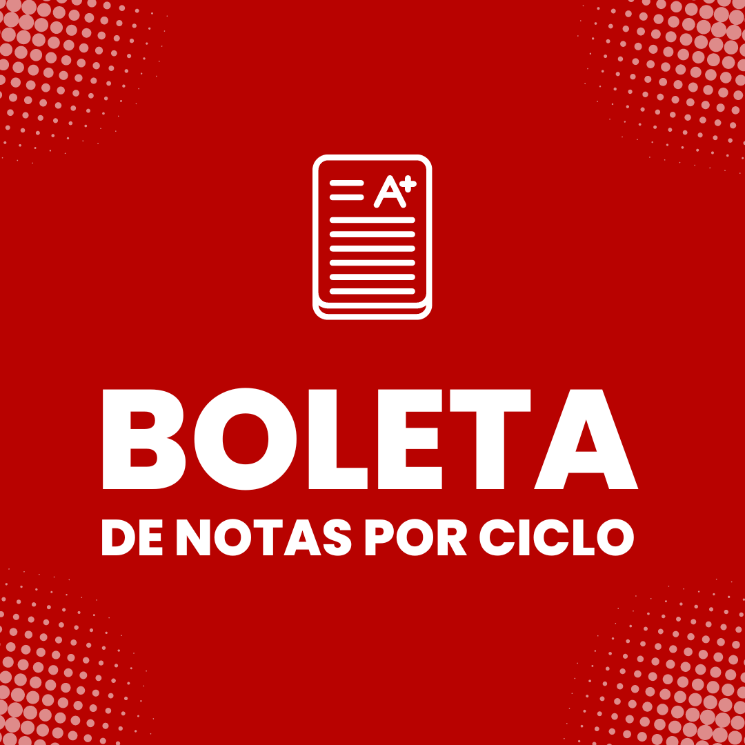 Boleta de Notas por ciclo
